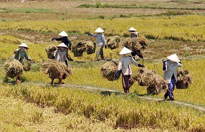 Làm Video Ngắn – Vừa Sáng Tạo, Vừa Kiếm Tiền Với Công Cụ Hữu Ích