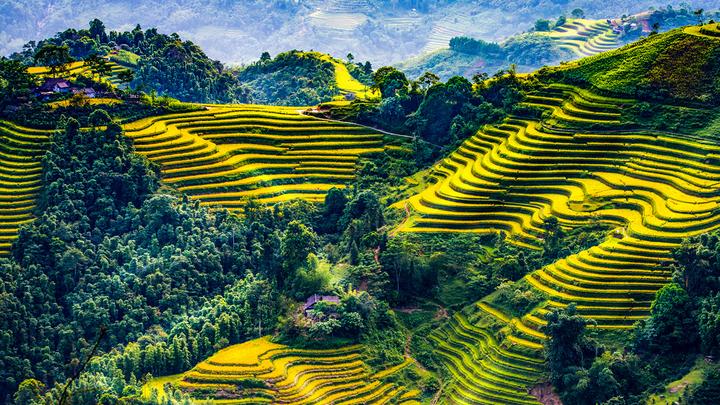 Hotspot Matrix: Khởi nghiệp an toàn, bền vững với video ngắn