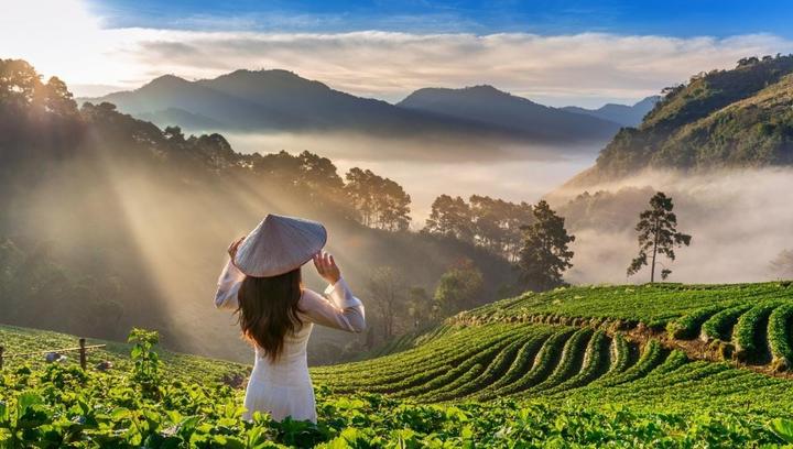 Từ 4 kiểu áo sơ mi dìm dáng, xỉn đến chiến lược content: Hotspot Matrix chia sẻ