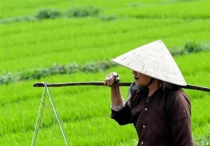 Xu hướng 4 kiểu áo sơ mi dìm dáng, xỉn: Hotspot Matrix tiết lộ bí quyết video viral